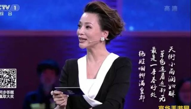 上海卫视主持人：揭秘电视台背后的游戏规则