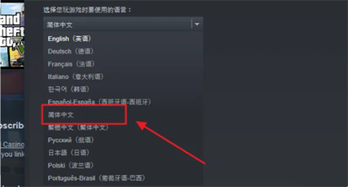 gta5怎么设置中文 游戏语音设置方法介绍  第6张