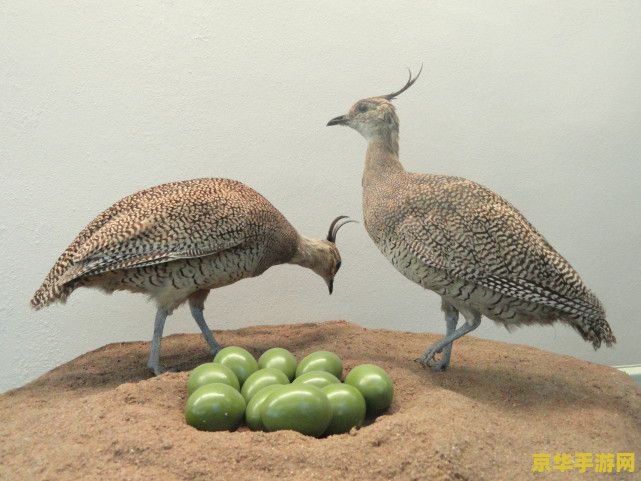 原神鸟蛋材料 原神中的鸟蛋：珍贵的食材与多样的用途  第1张